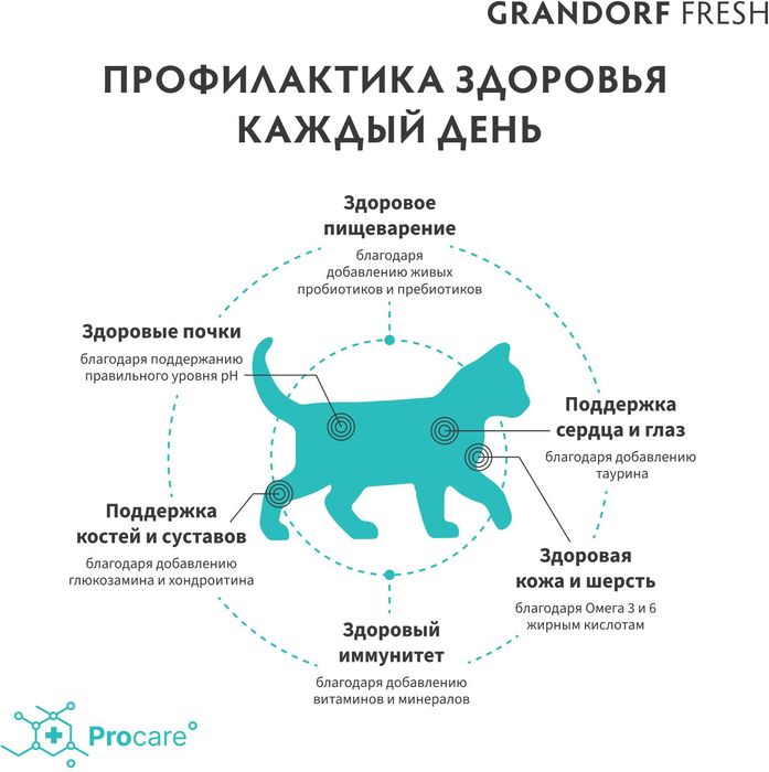 Grandorf Fresh корм для котят, беззерновой, с живыми пробиотиками, свежее мясо ягненка с бататом