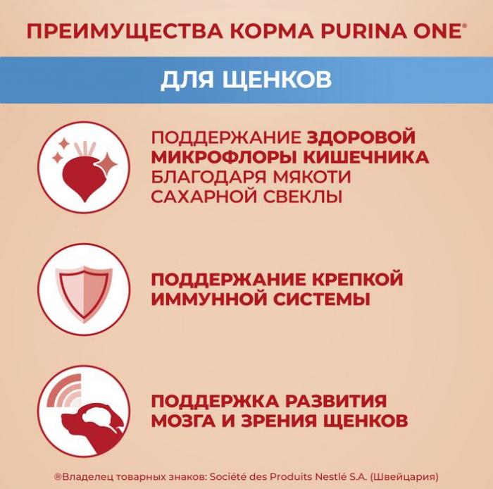 Сухой корм Purina ONE® для щенков средних и крупных пород, с высоким содержанием курицы и с рисом