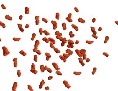 Tetra Diskus Granules основной корм для дискусов, гранулы