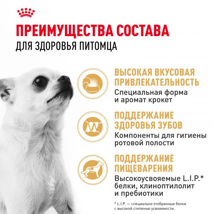 Royal Canin Chihuahua сухой корм для собак породы чихуахуа старше 8 месяцев