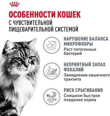 Royal Canin Digestive Care корм для взрослых кошек всех пород, с чувствительной пищеварительной системой