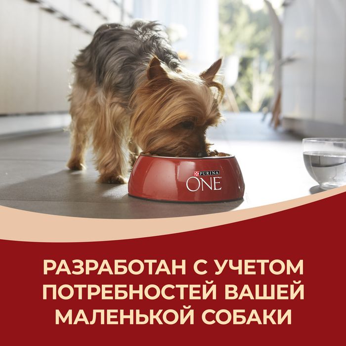 Сухой корм Purina ONE® для собак мелких пород с активным образом жизни, с высоким содержанием курицы и с рисом