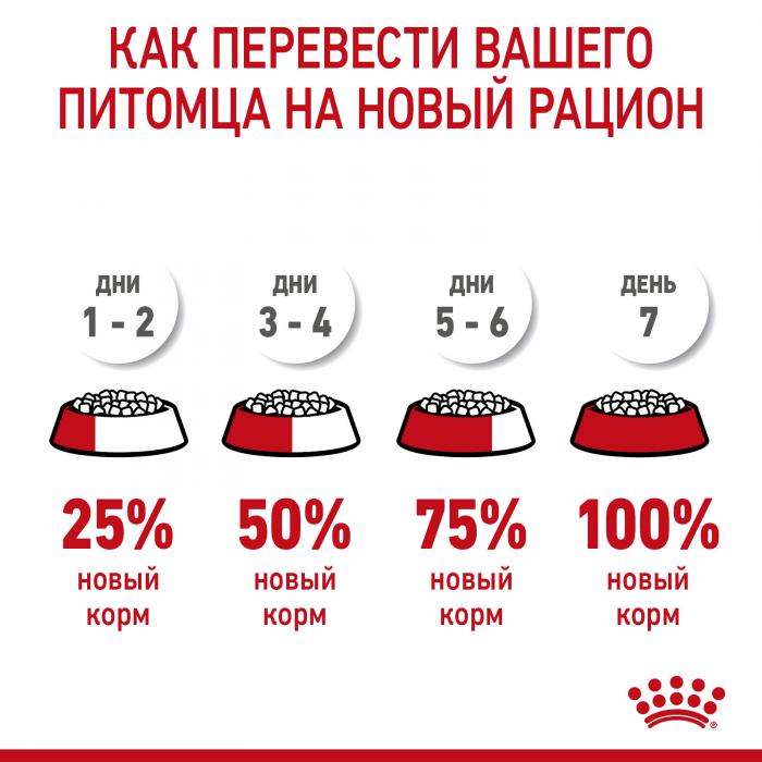 Royal Canin Kitten Mother&Baby cat сухой корм для котят и беременных кошек