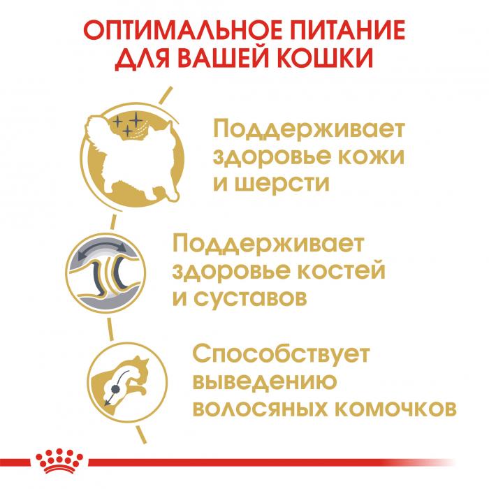 Royal Canin Siberian сухой корм для сибирских кошек