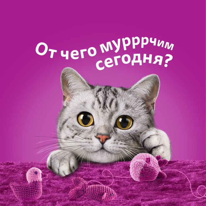 Whiskas влажный корм для взрослых кошек, желе с телятиной