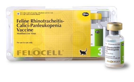 Pfizer Фелоцел 4 CVR вакцина для кошек