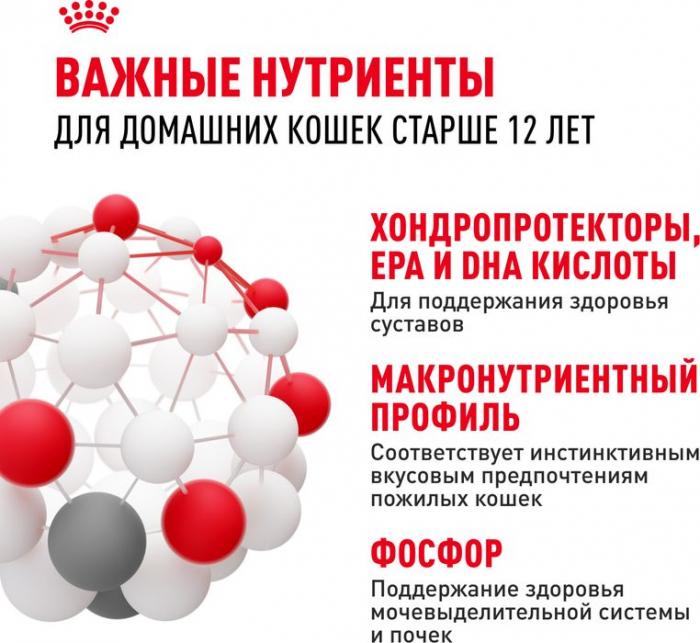 Royal Canin влажный корм для пожилых (12+) кошек, здоровье суставов, почек, мелкие кусочки в желе