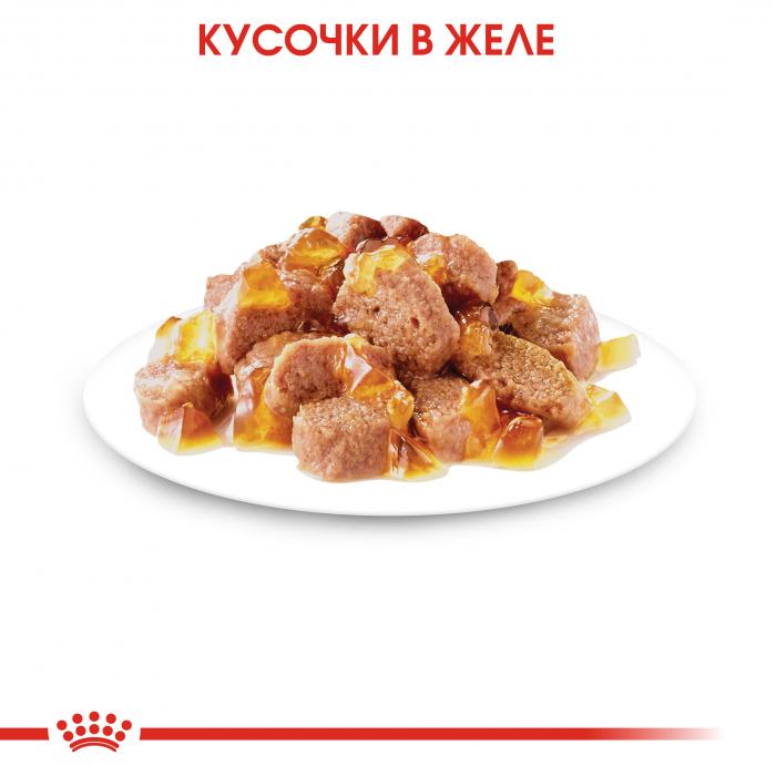 Royal Canin Sterilised влажный корм для стерилизованных кошек в желе
