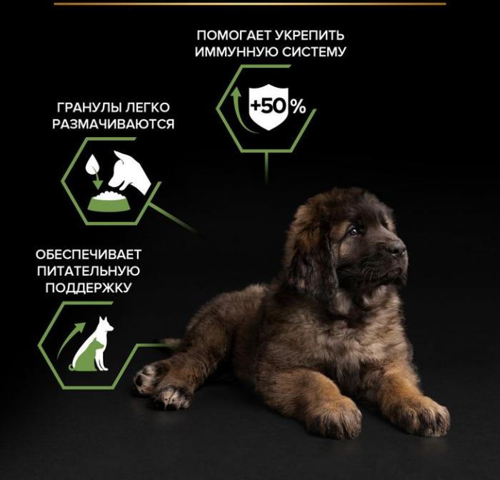 Сухой корм Pro Plan® Starter для щенков крупных пород, с высоким содержанием курицы, Пакет
