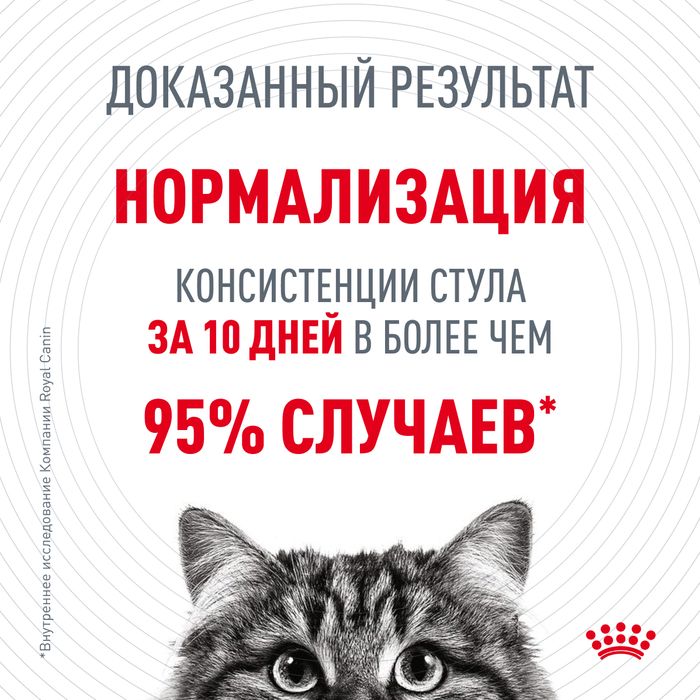 Royal Canin Digestive Care влажный корм для кошек, кусочки в соусе