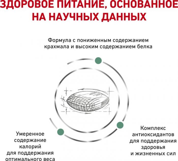Royal Canin корм для взрослых и пожилых кошек всех пород при сахарном диабете, птица