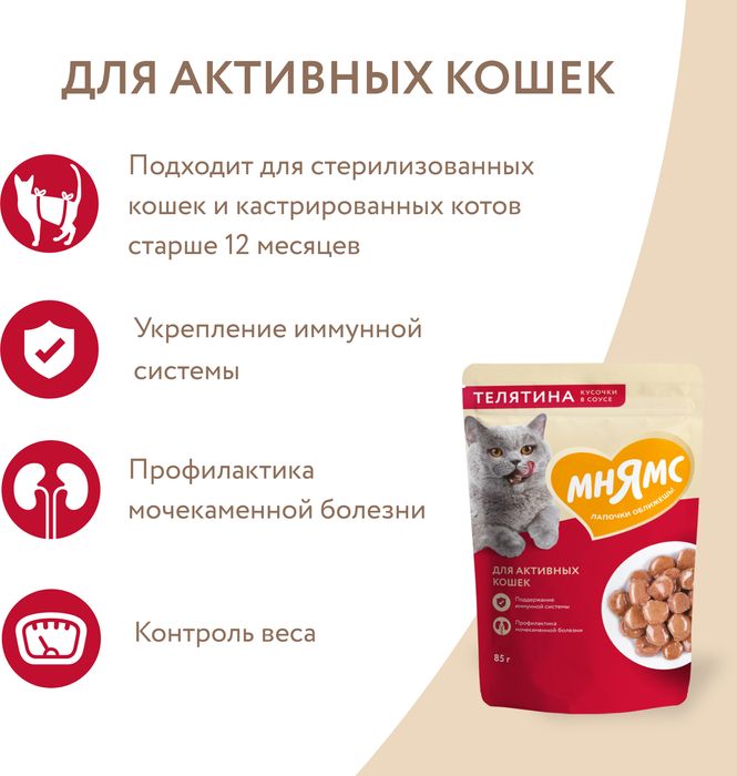 Мнямс влажный корм для активных кошек, кусочки в соусе с телятиной