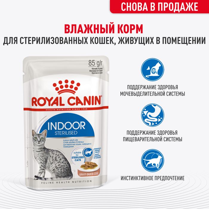 Royal Canin Indoor влажный корм для стерилизованных кошек, живущих в помещении, в соусе