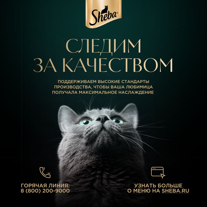 Sheba влажный корм для кошек, нежный паштет в желе, с курицей