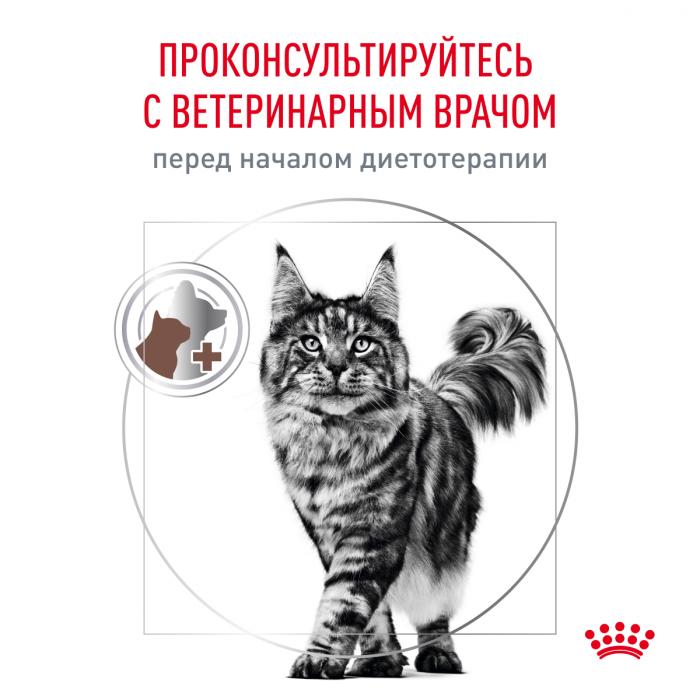 Royal Canin Gastro Intestinal лечебный сухой корм для кошек при нарушениях пищеварения