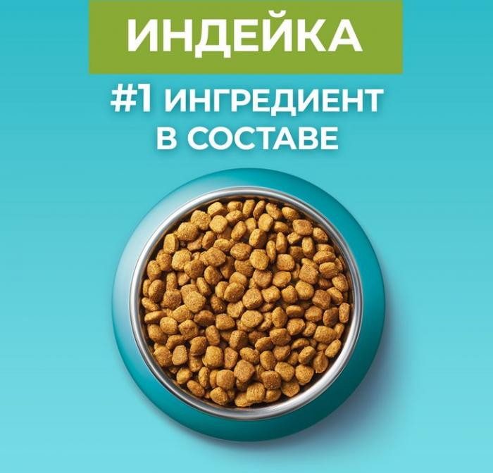 Сухой корм Purina ONE® полнорационный для взрослых кошек, живущих в домашних условиях, с высоким содержанием индейки