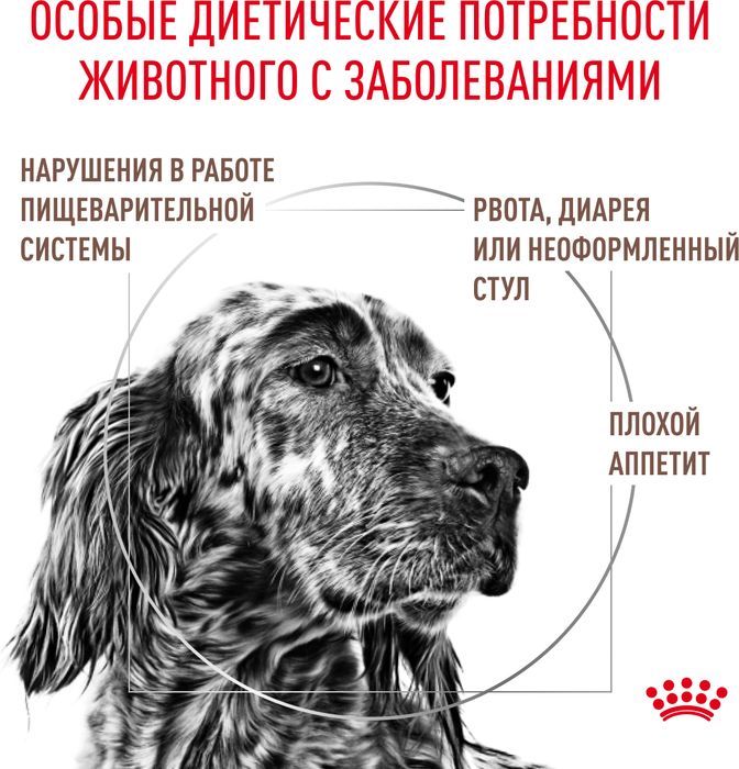 Royal Canin корм для взрослых и пожилых собак всех пород при нарушениях пищеварения