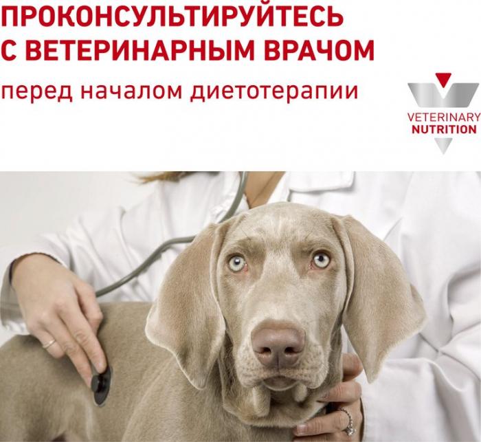 Royal Canin Diabetic лечебный корм для собак при сахарном диабете