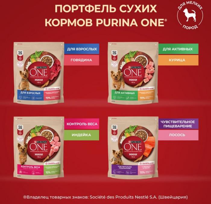 Сухой корм Purina ONE® для собак мелких пород с активным образом жизни, с высоким содержанием курицы и с рисом