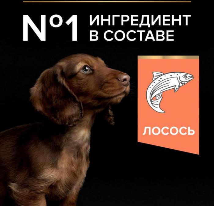Сухой корм Pro Plan® для щенков мелких и карликовых пород с чувствительной кожей, с высоким содержанием лосося, Пакет