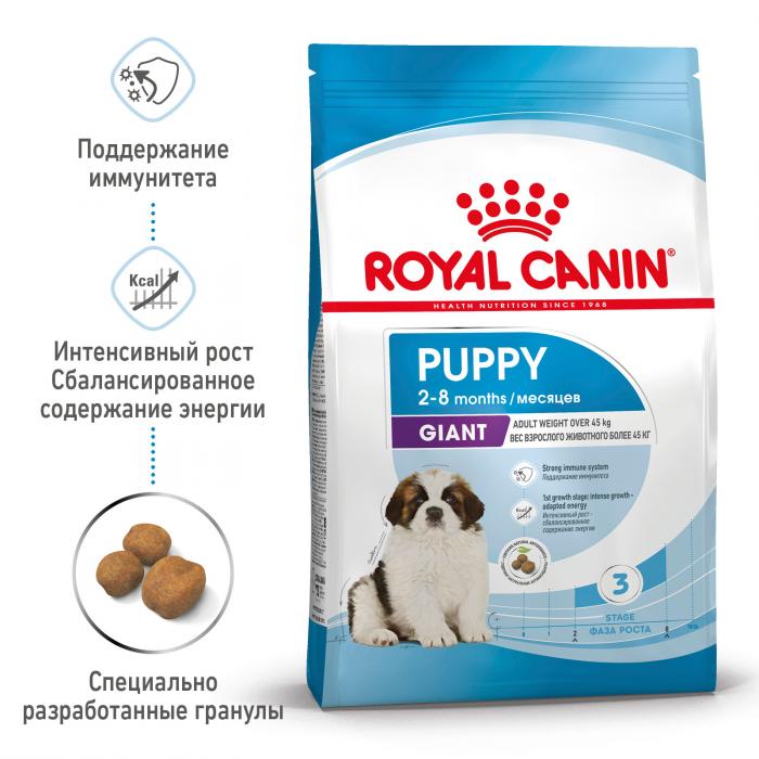 Royal Canin Giant Puppy сухой корм для щенков гигантских пород от 2 до 8 месяцев