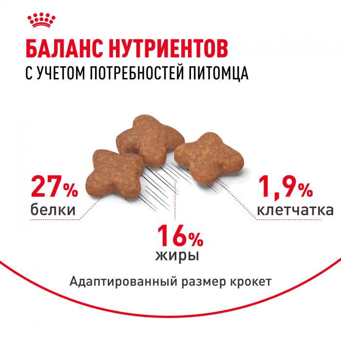 Royal Canin Mini Adult сухой корм для собак мелких пород