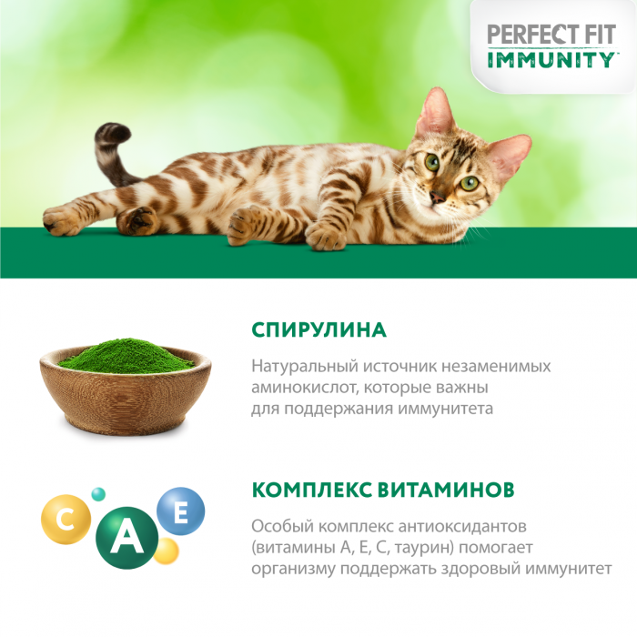 Perfect Fit Immunity влажный корм для кошек, для поддержания иммунитета, с индейкой в желе, с добавлением спирулины