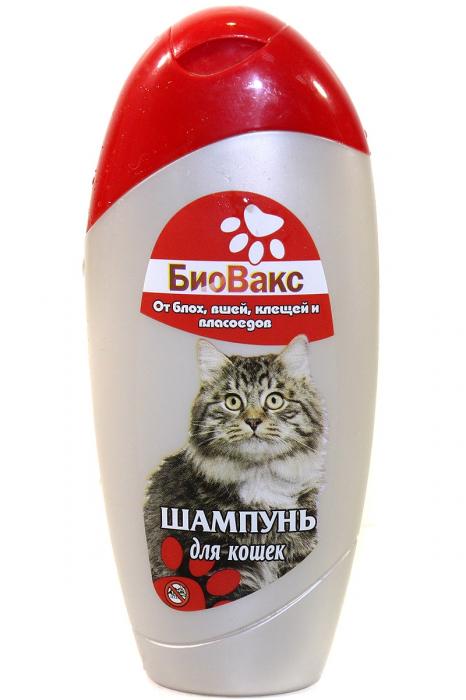 БиоВакс шампунь инсектицидный от блох, клещей, вшей и власоедов для кошек