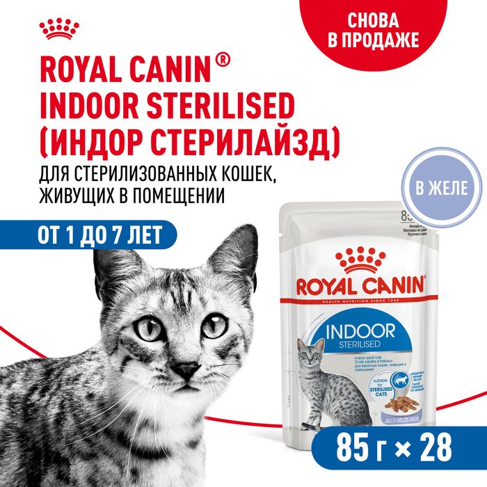 Royal Canin Indoor Sterilised влажный корм для стерилизованных кошек, живущих в помещении, кусочки в желе