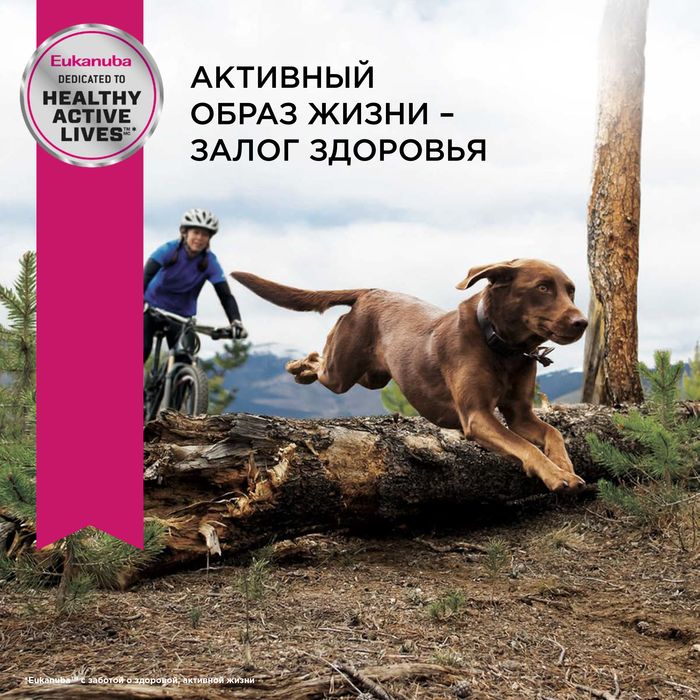 Eukanuba Adult Large Breed сухой корм для собак крупных пород с курицей