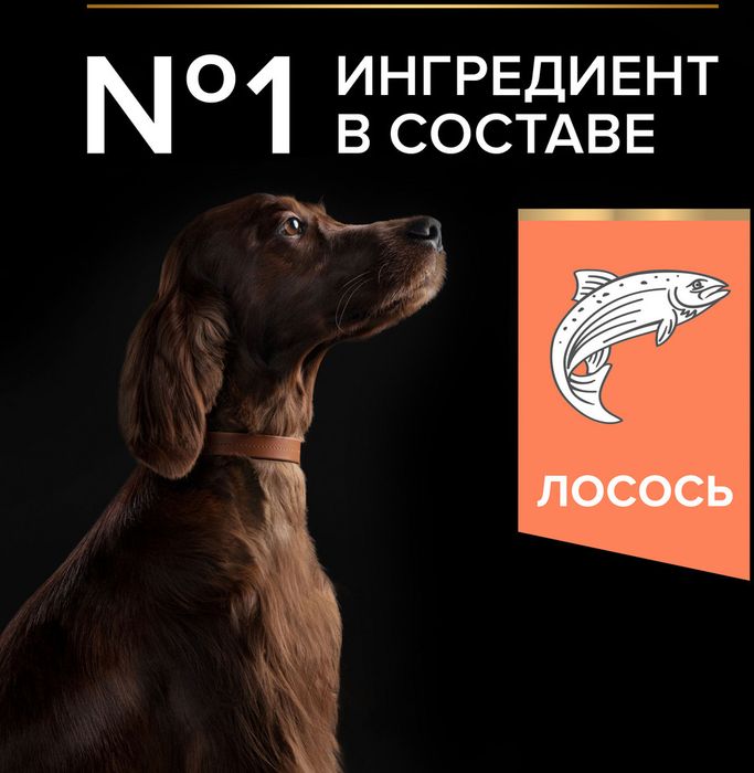 Сухой корм Pro Plan® Sensitive Skin для взрослых собак крупных пород с атлетическим телосложением с чувствительной кожей, с высоким содержанием лосося
