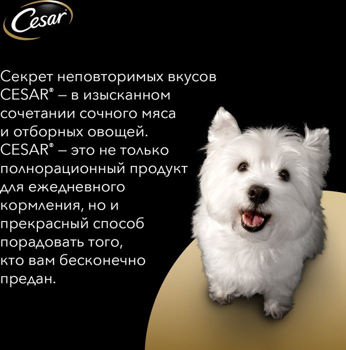 Cesar влажный корм для собак с говядиной и овощами
