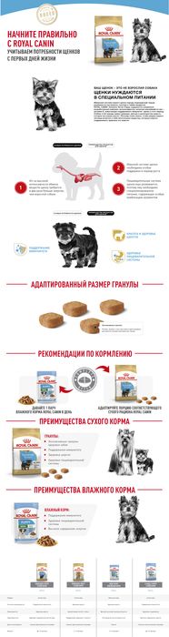 Royal Canin Yorkshire Terrier Junior сухой корм для щенков породы йоркширский терьер от 2 до 10 месяцев