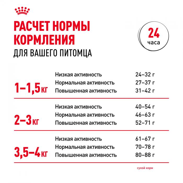 Royal Canin X-Small Adult сухой корм для собак миниатюрных пород