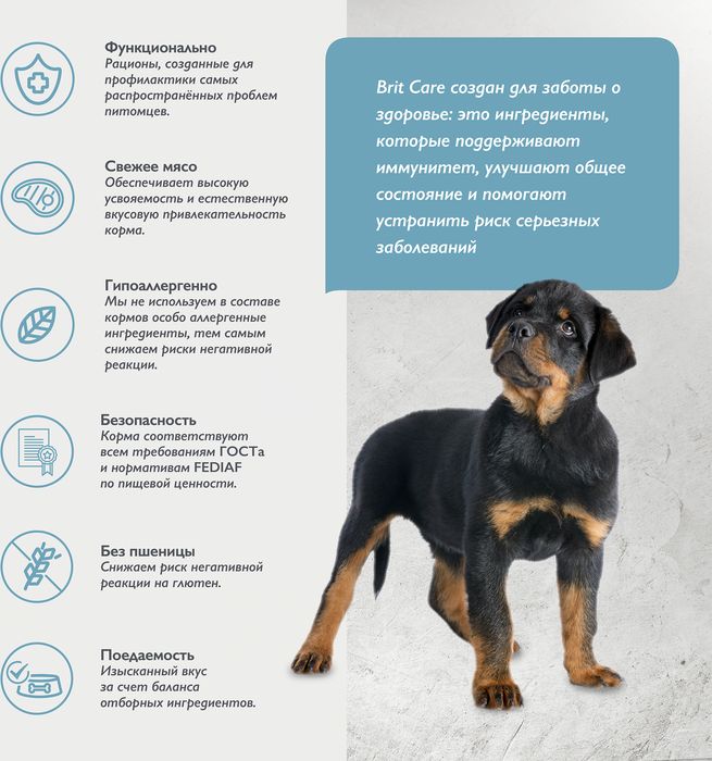 Brit Care Dog Puppy&Junior L Healthy Growth корм для щенков, индейка с ягненком