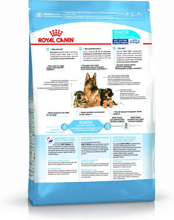 Royal Canin Maxi Starter сухой корм для щенков крупных пород с 3 недель до 2 месяцев