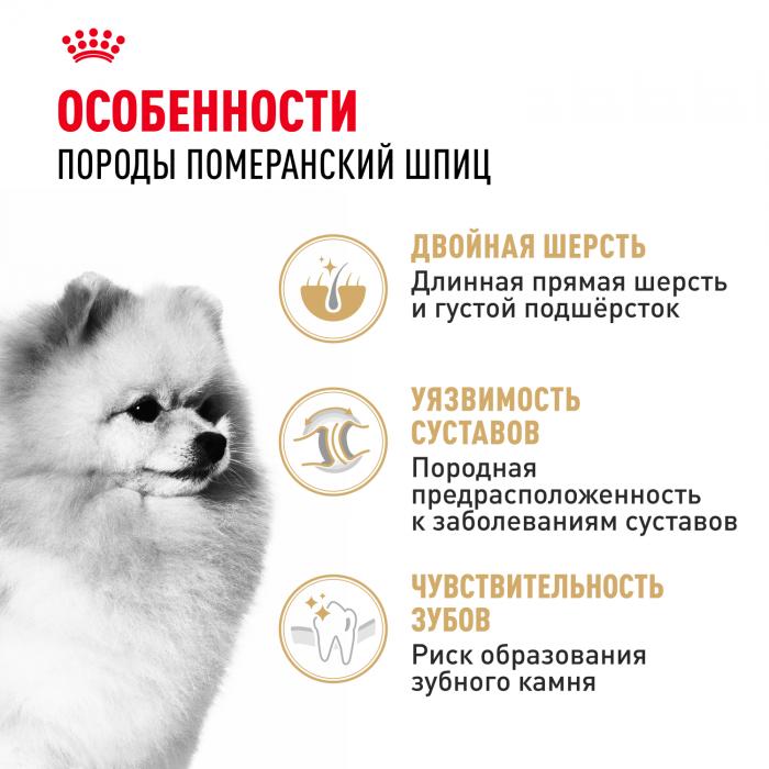 Royal Canin корм для взрослых собак породы Померанский Шпиц