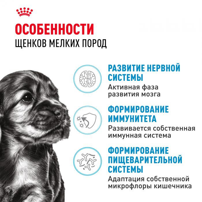 Royal Canin корм для щенков малых пород