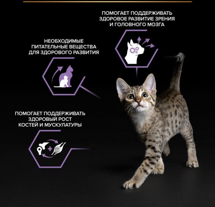 Влажный корм Pro Plan® Healthy Start® для котят, беременных и кормящих кошек, кусочки с лососем в соусе