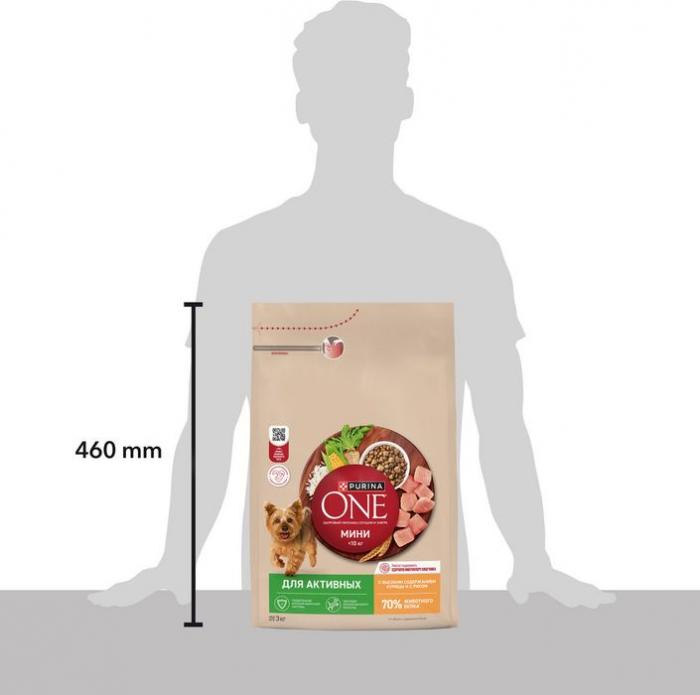 Сухой корм Purina ONE® для собак мелких пород с активным образом жизни, с высоким содержанием курицы и с рисом