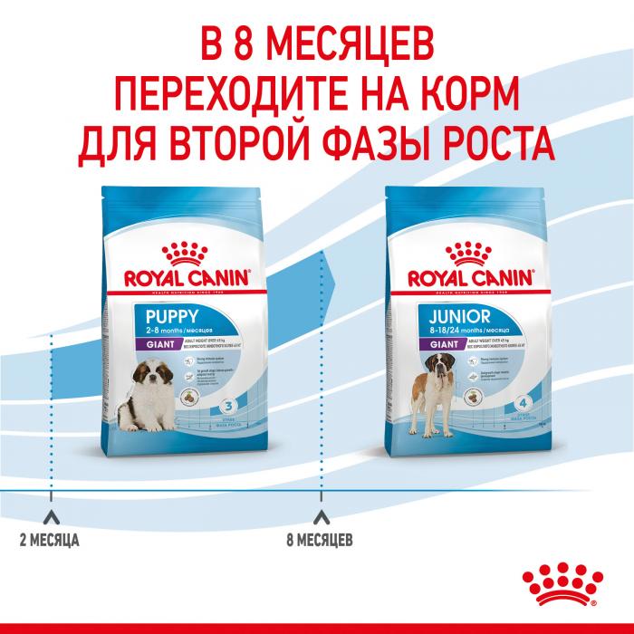 Royal Canin Giant Puppy сухой корм для щенков гигантских пород от 2 до 8 месяцев