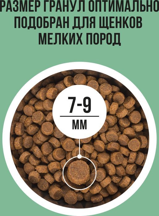 Bowl Wow корм для щенков малых пород, с индейкой, рисом и добавлением шпината