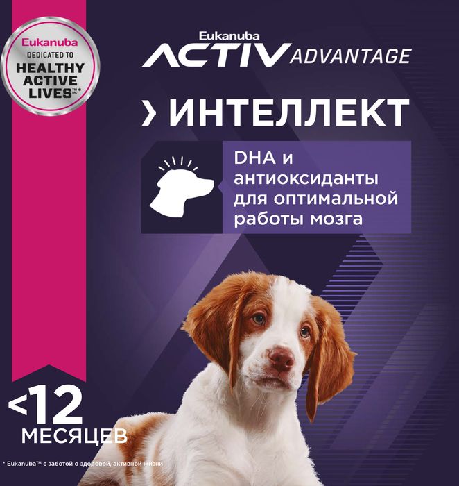 Eukanuba Puppy Medium Breed сухой корм для щенков средних пород с курицей