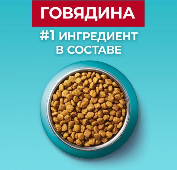 Сухой корм Purina ONE® полнорационный для взрослых кошек, с высоким содержанием говядины