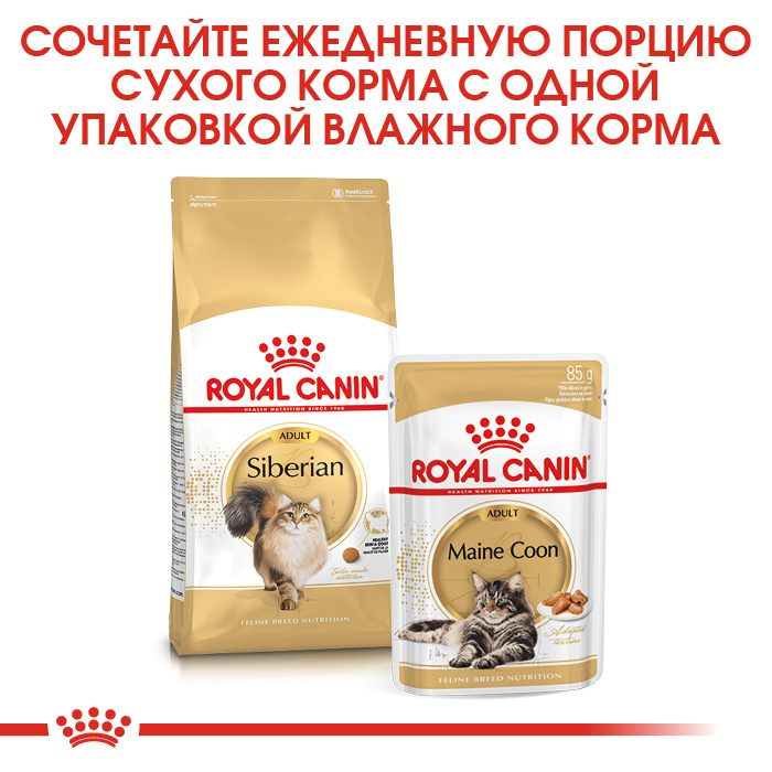 Royal Canin Siberian сухой корм для сибирских кошек