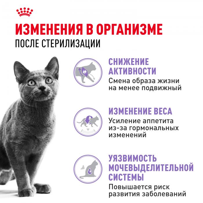Royal Canin Sterilised 37 сухой корм для стерилизованных кошек и котов