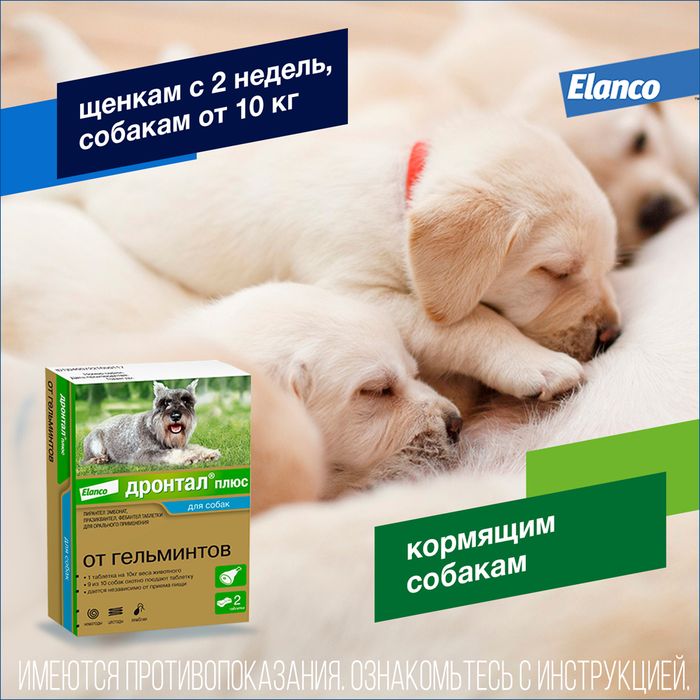 Elanco Дронтал плюс таблетки для собак малых и средних пород, от гельминтов, со вкусом мяса