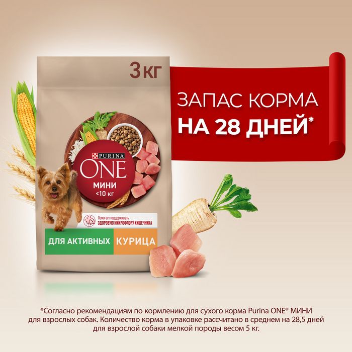 Сухой корм Purina ONE® для собак мелких пород с активным образом жизни, с высоким содержанием курицы и с рисом