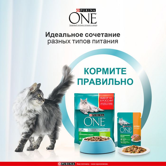 Влажный корм Purina ONE® для домашних кошек, с курицей и морковью