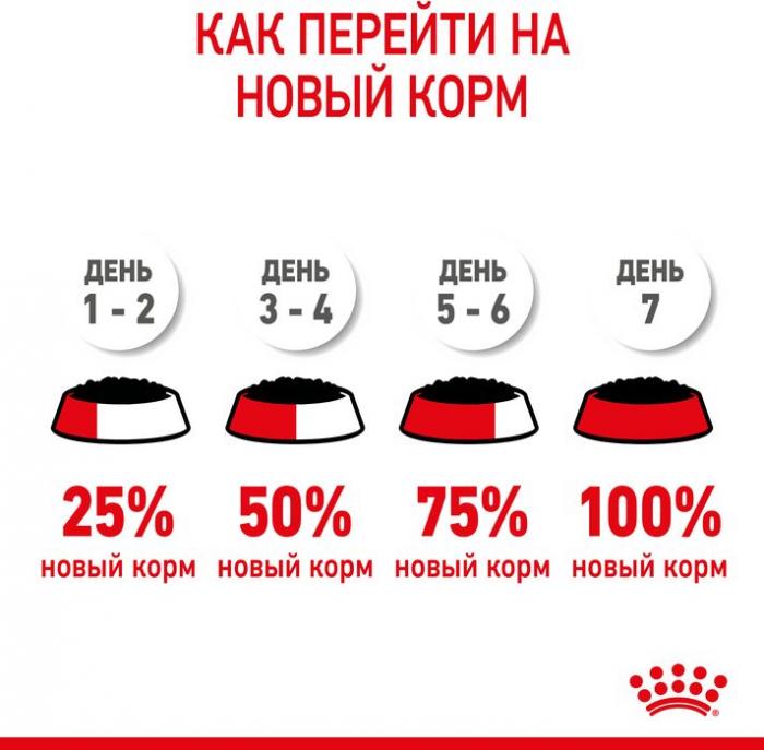 Royal Canin влажный корм для котят всех пород, в соусе